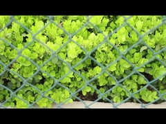 クラケット ユニフォーム メッシュ PVC コーティング チェーンリンク フェンス 長寿命の滑らかな表面