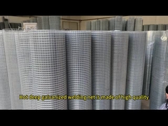 Verzinkte geschweißte Drahtnetz-Rollen Hühnerstifte Elektroverzinkte BWG14 - BWG25 1/2 